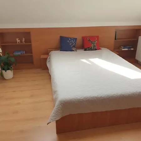 Panorama *
